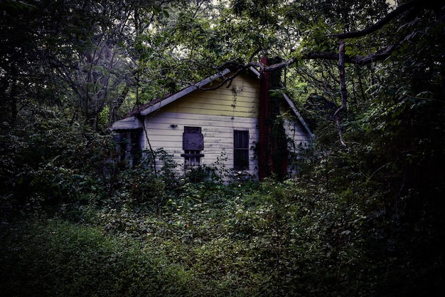 Foto casa abandonada en medio de los árboles en el bosque