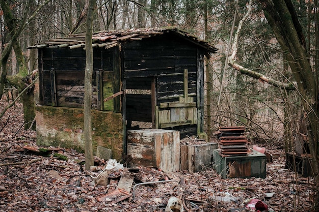 Foto casa abandonada na floresta.