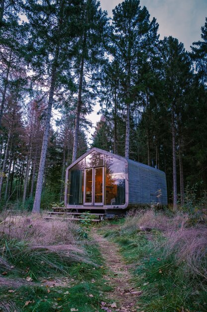 Casa abandonada na floresta.