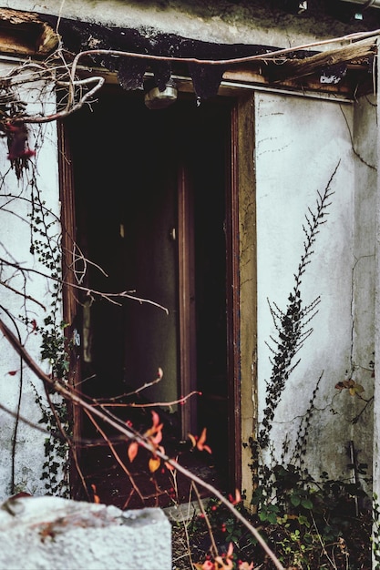 Foto casa abandonada.