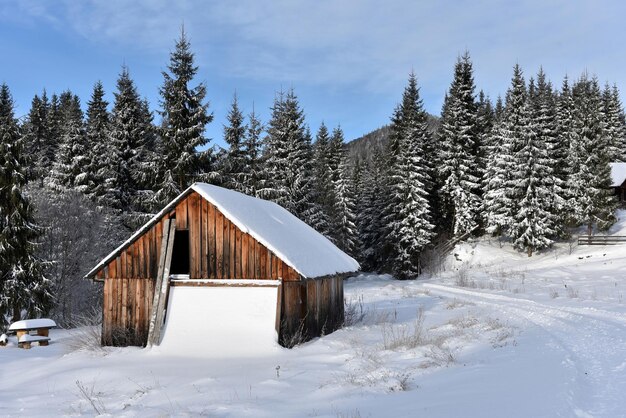 Casa alpina cubierta de nieve en las montañas en invierno