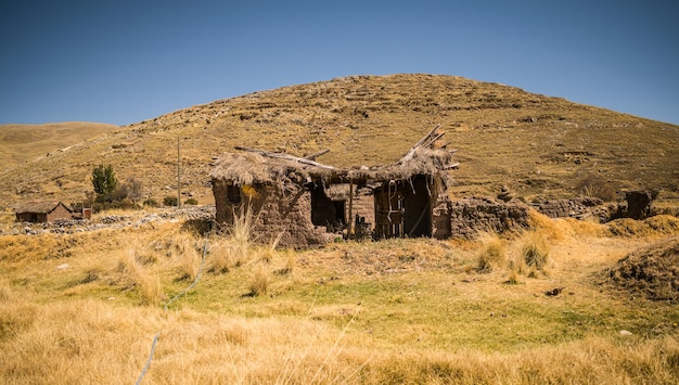 casa antigua destruida en paisaje amarillo