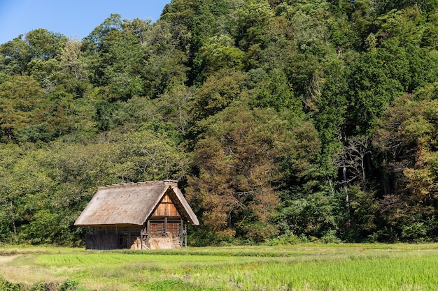 Casa antigua en Shirakawago