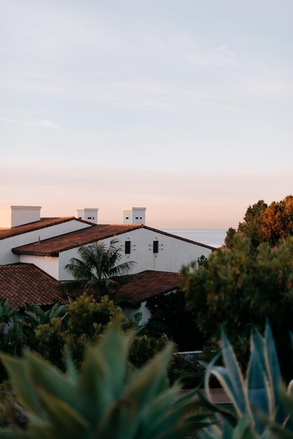 Foto una casa en los árboles con vistas al mar