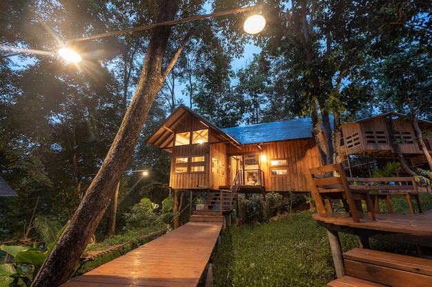 Casa de arquitectura de madera en el bosque lluvioso.