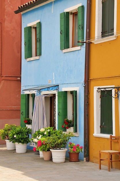 Casa azul e amarela em Burano pequenas casas numa ilha veneziana casas coloridas Itália flores