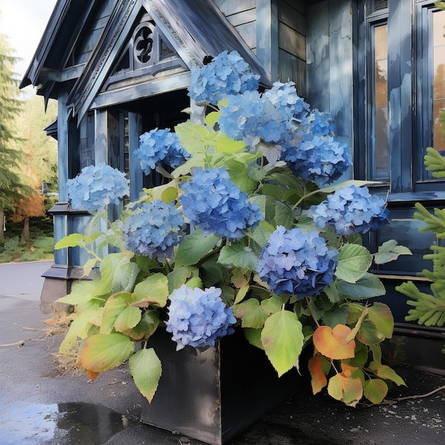 una casa azul con una planta delante