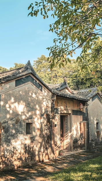 Foto una casa en un bosque con un árbol al fondo.