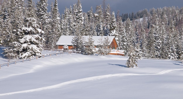 Casa en el bosque cubierta de nieve.