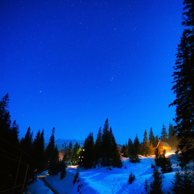 Casa en el bosque de invierno de noche bajo un cielo azul con muchas estrellas