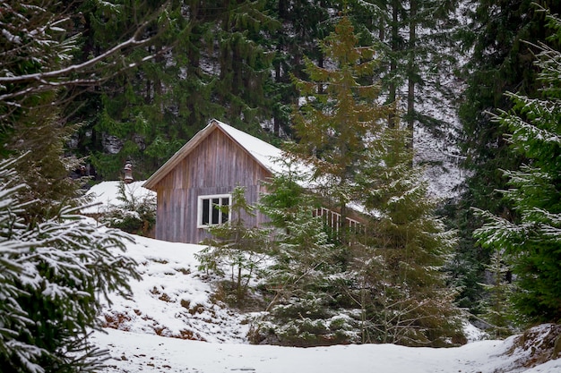 Casa en bosque de invierno