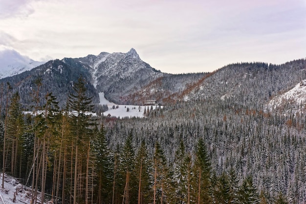 Casa en el Bosque en Kasprowy Wierch de Zakopane en Tatras en invierno. Zakopane es una ciudad en Polonia en las montañas Tatra. Kasprowy Wierch es un monte en Zakopane y la zona de esquí más popular de Polonia