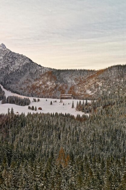 Casa en el Bosque en Kasprowy Wierch de Zakopane en Tatras en invierno. Zakopane es una ciudad en Polonia en las montañas Tatra. Kasprowy Wierch es un monte en Zakopane y las zonas de esquí más populares de Polonia