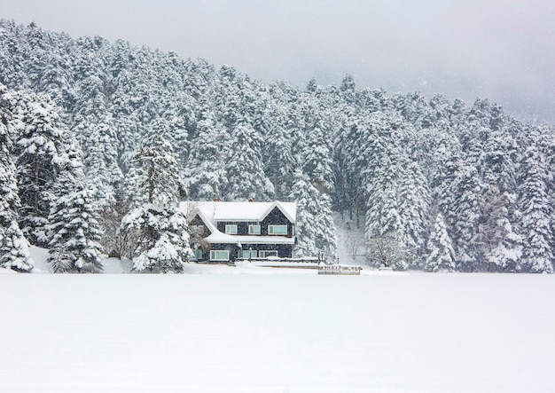 Foto una casa en el bosque con nieve en el techo