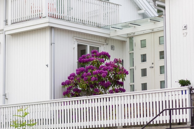 Casa branca com varanda aberta com grande flor roxa florescendo perto da porta