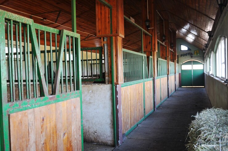 Foto casa de caballos con puerta de hierro interior