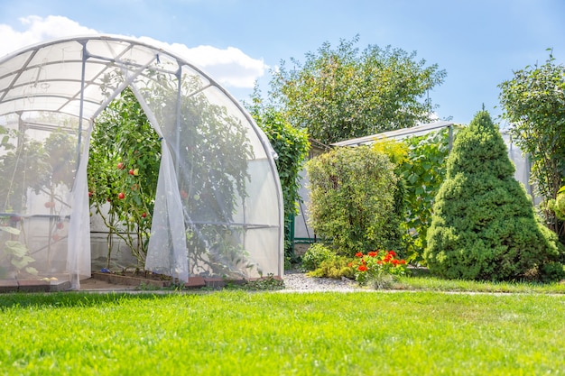 Casa cálida con verduras en un jardín privado en el patio trasero.