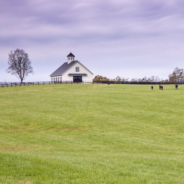 Foto casa en el campo contra el cielo