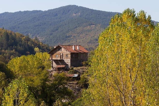 Casa de campo de madera