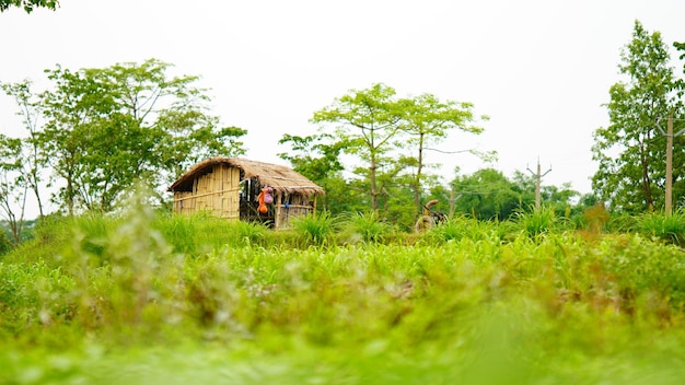 Casa de campo en el pueblo india