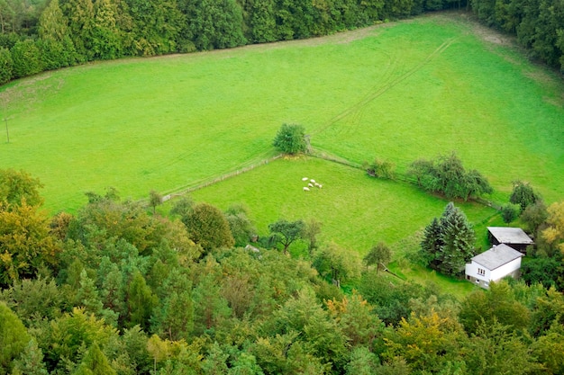 Casa de campo sobre un fondo de bosque y campos verdes Vista desde arriba