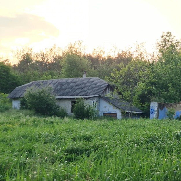 Una casa en un campo con techo azul y techo blanco.