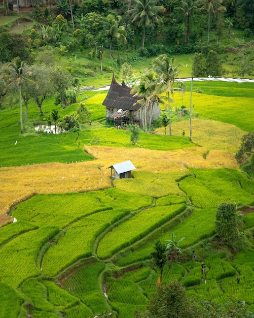 Una casa en un campo con techo negro.