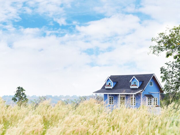 Casa de campo de verano azul en el campo de hierba salvaje