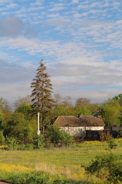 Una casa en un campo