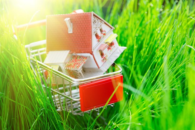 Casa en carrito de compras Profundidad de campo