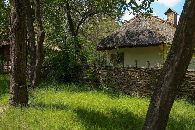 Una casa una casa de barro una valla de mimbre un árbol un pueblo ucraniano