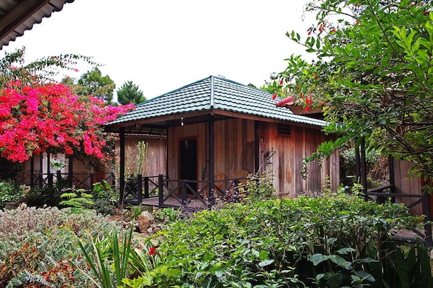 La casa en la ciudad de Wamena, Papua, Indonesia