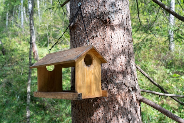 Una casa comedero para pájaros en un bosque verde de verano hizo con sus propias manos una escalera de ramas para ...