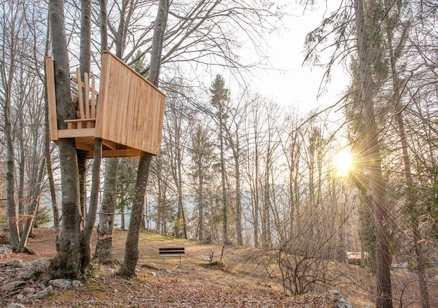 Casa construida en árbol