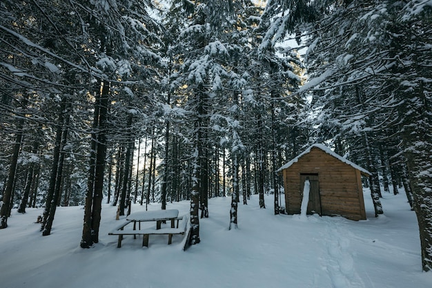 Una casa cubierta de nieve