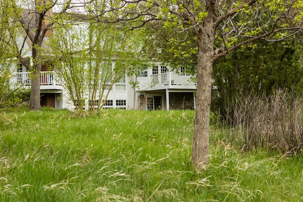 Casa da família Sinlge atrás de árvores e arbustos.