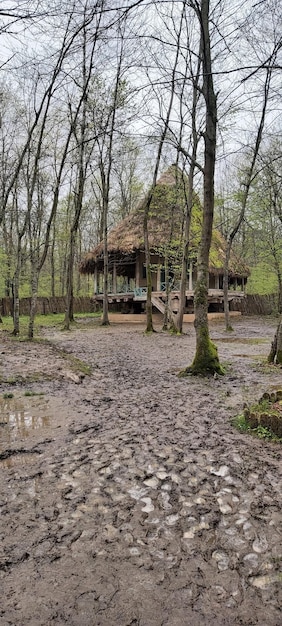 Casa de aldeia na floresta