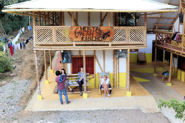 Casa de bambu, madeira natural, árvore de arte de textura de casa ecológica nos trópicos