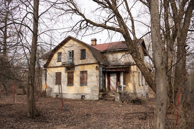 Casa de campo abandonada entre árvores nuas e folhas secas caídas.