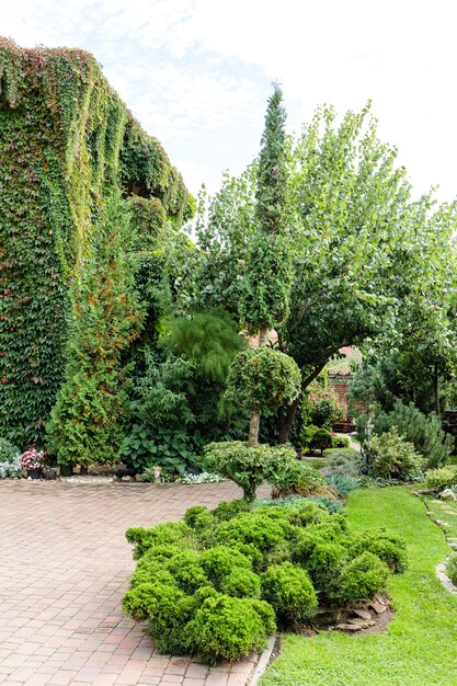 Casa de campo alta coberta de vegetação Habitação ecológica Belo edifício para a vida das pessoas