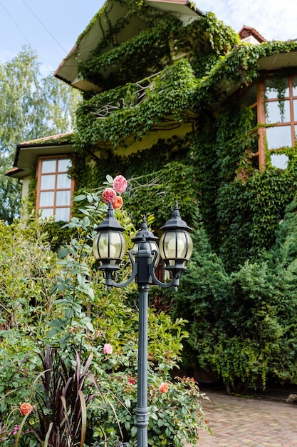 Casa de campo alta coberta de vegetação Habitação ecológica Belo edifício para a vida das pessoas