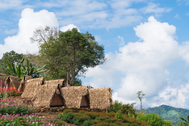 Casa de campo e campo de flor.