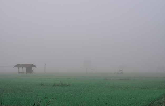 Casa de campo no campo e na névoa do arroz no inverno. chiang mai, tailândia