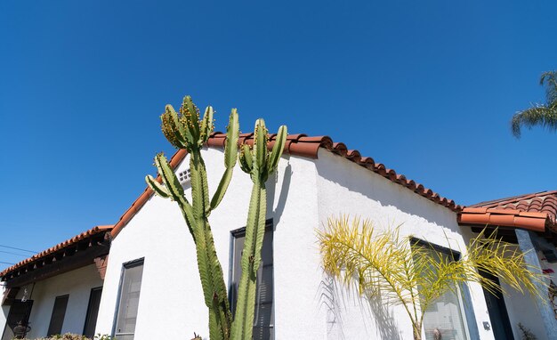 Casa de construção residencial com cactos no fundo do céu azul, construindo.