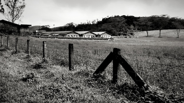 Foto casa de fazenda em kerala