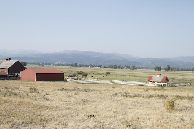 Casa de fazenda no parque nacional de Yellowstone em Wyoming EUA