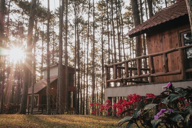 Casa de férias na floresta de pinheiros