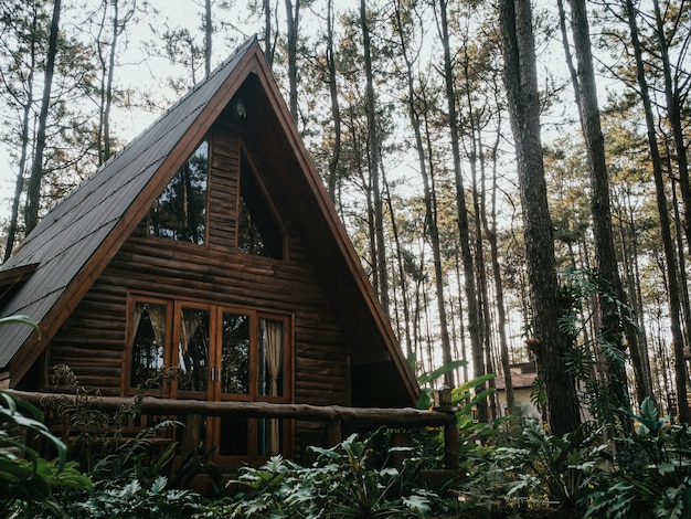 Foto casa de férias na floresta de pinheiros