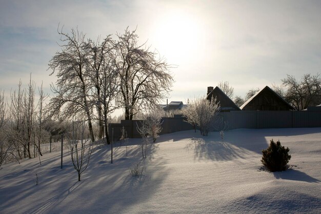 Foto casa de inverno em uma paisagem nevada no natal paisagem nevada com muitas árvores uma cerca uma casa