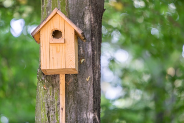 Casa de madeira amarela do pássaro em um tronco de árvore no parque verde ao ar livre.